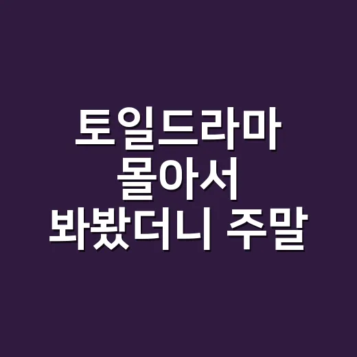 토일드라마 몰아서 봐봤더니 주말 밤 루틴이 바뀐 진짜 후기 - 요약
