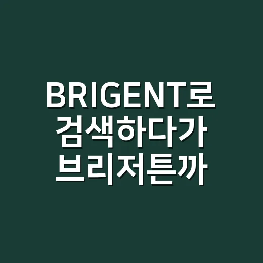 BRIGENT로 검색하다가 브리저튼까지 정주행해본 솔직 후기 - 요약