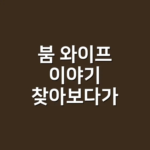 붐 와이프 이야기 찾아보다가 예능 속 붐이 다르게 보였던 후기 - 요약