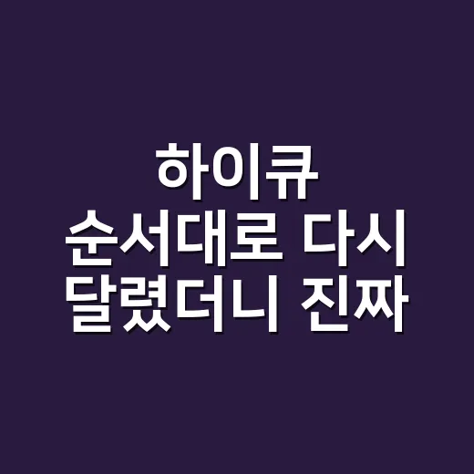 하이큐 순서대로 다시 달렸더니 진짜 헷갈린 건 OVA였다 - 요약
