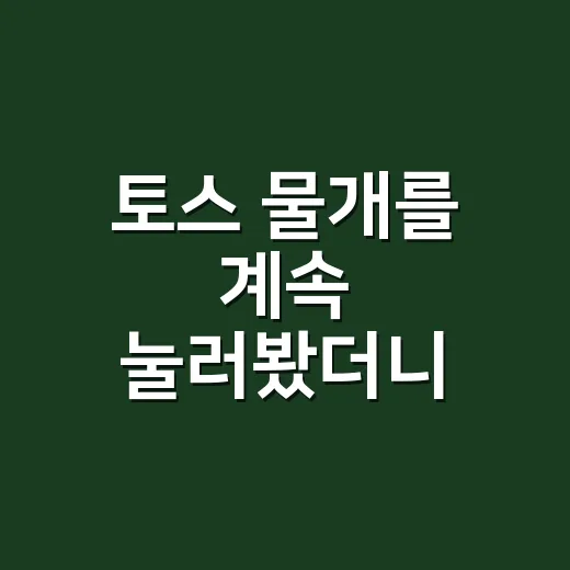 토스 물개를 계속 눌러봤더니, 이 작은 캐릭터가 은근히 예능이었다 - 요약