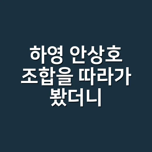 하영 안상호 조합을 따라가 봤더니, 조용히 오래 남는 관계성이 보였다 - 요약