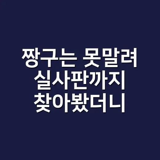 짱구는 못말려 실사판까지 찾아봤더니, 생각보다 낯설고 은근히 찡했다 - 요약