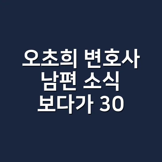 오초희 변호사 남편 소식 보다가 30년 포켓몬 덕질과 육아 갈등까지 떠올린 후기