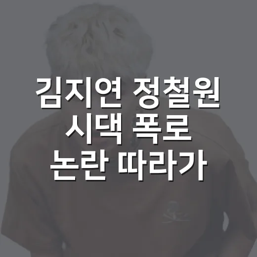 김지연 정철원 시댁 폭로 논란 따라가봤더니, 현실극이 더 복잡했다 - 요약
