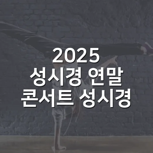 2025 성시경 연말 콘서트 성시경, 일정부터 분위기까지 챙겨봤더니 - 요약