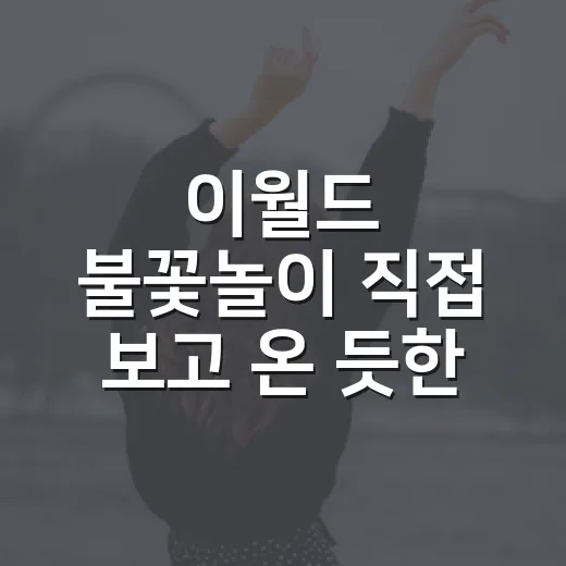 이월드 불꽃놀이 직접 보고 온 듯한 정주행 후기, 기다림까지 쇼가 되는 밤 - 요약
