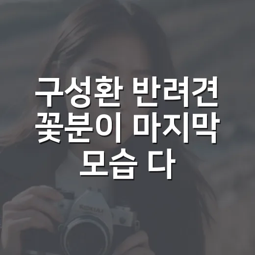 구성환 반려견 꽃분이 마지막 모습 다시 봤더니, 왜 이렇게 오래 남는지 알겠더라 - 요약