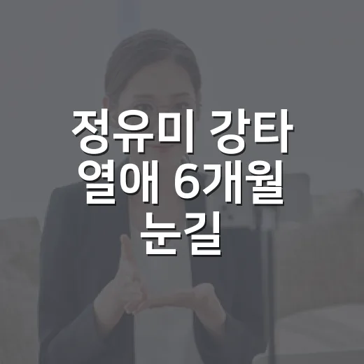 정유미 강타 열애 6개월 눈길, 기사만 보고 헷갈려서 흐름을 다시 따라가봤더니 - 요약
