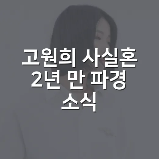 고원희 사실혼 2년 만 파경 소식, 작품으로 다시 보니 달라 보였던 순간들 - 요약