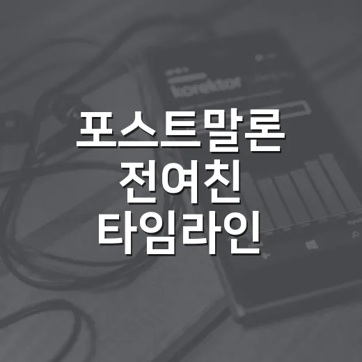포스트말론 전여친 타임라인 따라가봤더니, 노래보다 조용했던 연애사가 보였다 - 요약