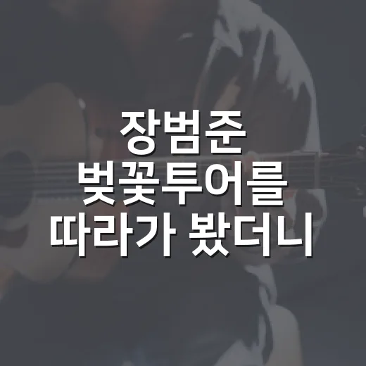 장범준 벚꽃투어를 따라가 봤더니, 봄노래 하나가 만든 이상한 설렘 - 요약