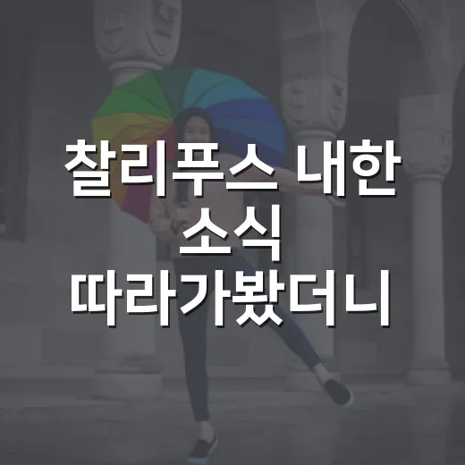 찰리푸스 내한 소식 따라가봤더니 한국 팬덤 서사가 꽤 진했다 - 요약