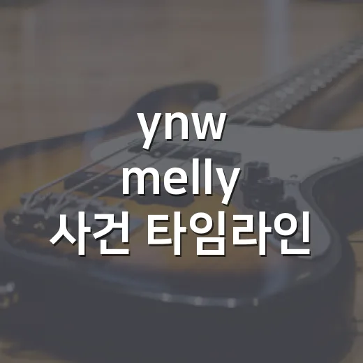 ynw melly 사건 타임라인 따라가 봤더니, 법정 리얼리티보다 복잡했다 - 요약