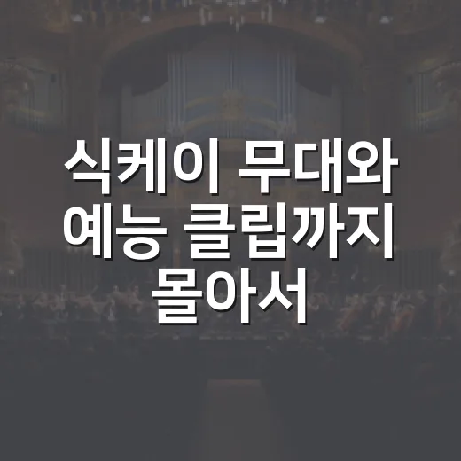 식케이 무대와 예능 클립까지 몰아서 봤더니 보인 진짜 매력 - 요약