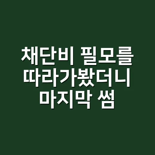 채단비 필모를 따라가봤더니 마지막 썸머에서 눈에 들어온 이유 - 요약