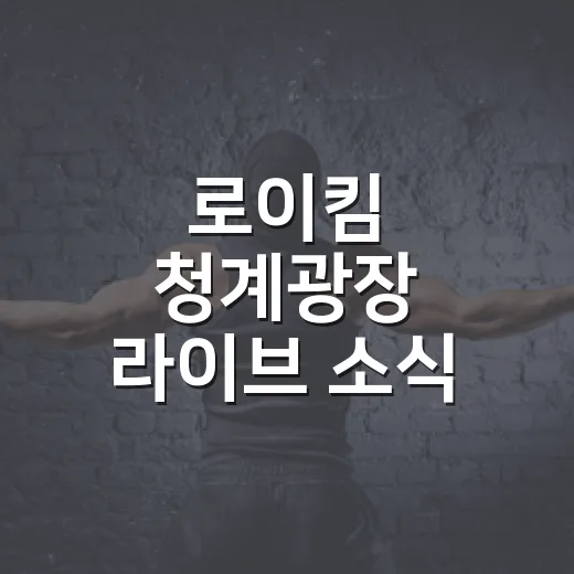 로이킴 청계광장 라이브 소식 따라가봤더니, 봄밤 감성이 제대로 터졌다 - 요약