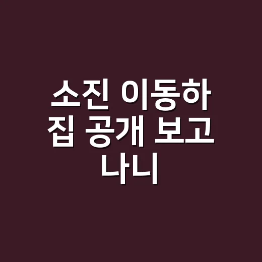 소진 이동하 집 공개 보고 나니, 예쁜 집보다 합리적 취향이 먼저 보였다 - 요약