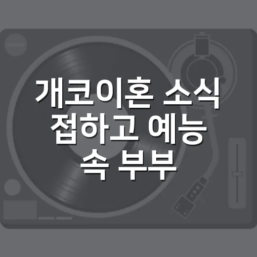 개코이혼 소식 접하고 예능 속 부부 이미지를 다시 떠올려봤더니 - 요약