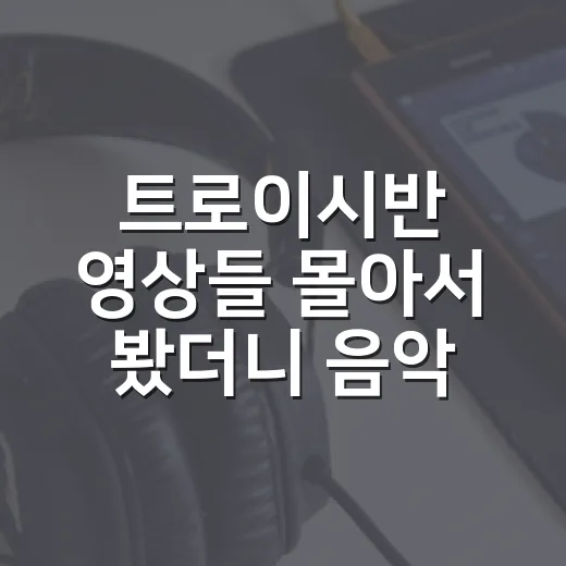트로이시반 영상들 몰아서 봤더니 음악보다 먼저 보인 얼굴들 - 요약