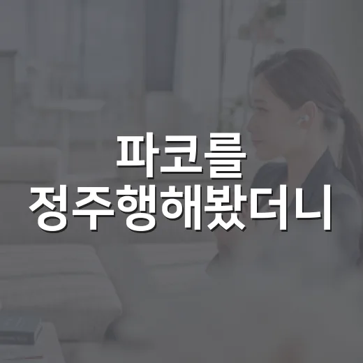 파코를 정주행해봤더니, 조용한 얼굴 뒤에 더 시끄러운 이야기가 있었다 - 요약