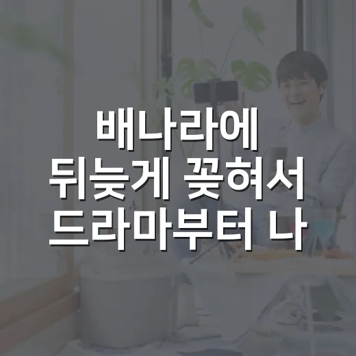 배나라에 뒤늦게 꽂혀서 드라마부터 나혼산까지 이어 본 후기 - 요약