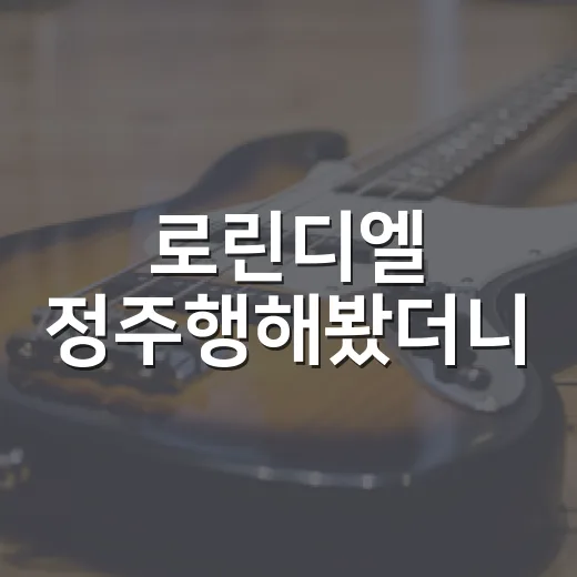 로린디엘 정주행해봤더니, 이름보다 분위기가 먼저 남았다 - 요약