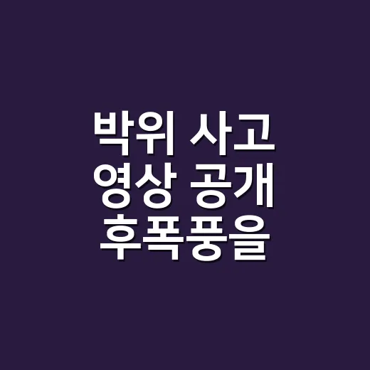 박위 사고 영상 공개 후폭풍을 따라가봤더니, 비판 여론 확산의 진짜 갈림길 - 요약