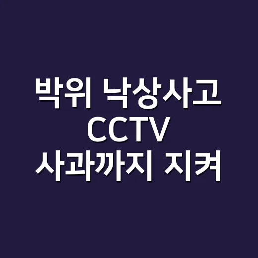 박위 낙상사고 CCTV 사과까지 지켜봤더니, 마음이 복잡했던 이유 - 요약