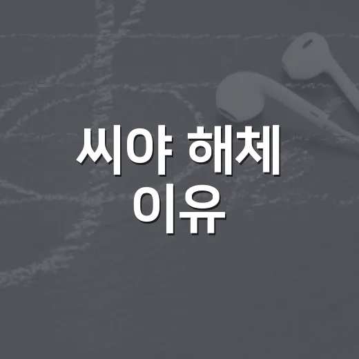 씨야 해체 이유, 다시 정주행해봤더니 더 씁쓸했던 진짜 이야기 - 요약