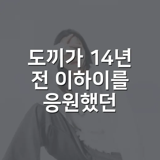 도끼가 14년 전 이하이를 응원했던 글을 꺼내왔더니 생긴 일 - 요약