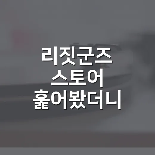 리짓군즈 스토어 훑어봤더니, 굿즈보다 세계관이 먼저 보인 후기 - 요약
