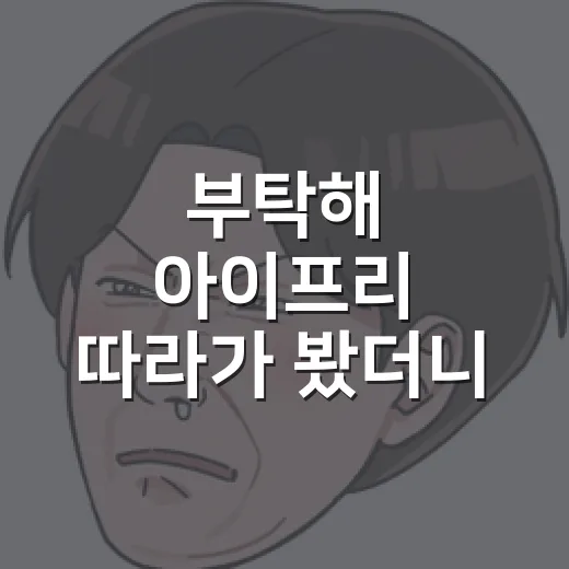부탁해 아이프리 따라가 봤더니, 반짝임보다 성장 리듬이 먼저 보였다 - 요약