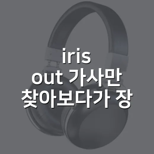 iris out 가사만 찾아보다가 장면 하나가 다시 보인 후기 - 요약