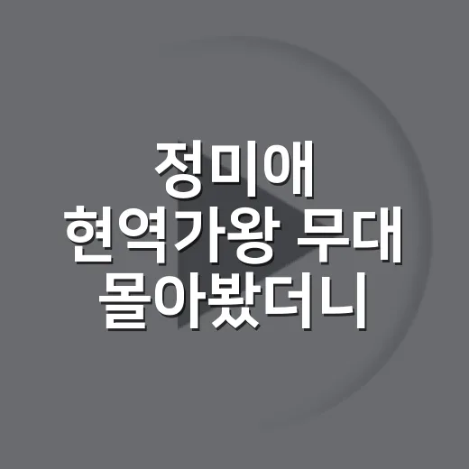 정미애 현역가왕 무대 몰아봤더니, 담담한 목소리가 더 오래 남았다 - 요약