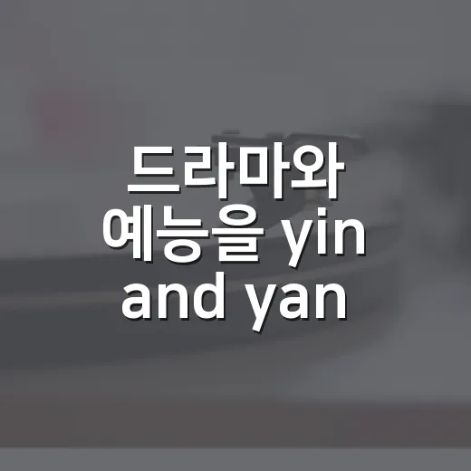 드라마와 예능을 yin and yang으로 봤더니 캐릭터 궁합이 다르게 보였다 - 요약