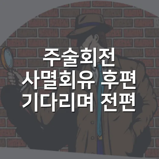 주술회전 사멸회유 후편 기다리며 전편부터 다시 달려봤더니 보인 것들 - 요약