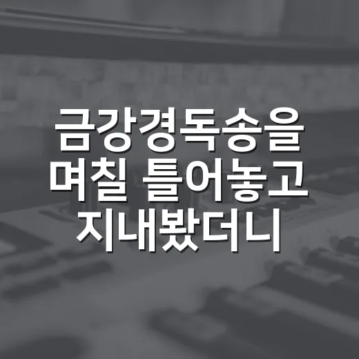 금강경독송을 며칠 틀어놓고 지내봤더니 생긴 의외의 관전 포인트 - 요약