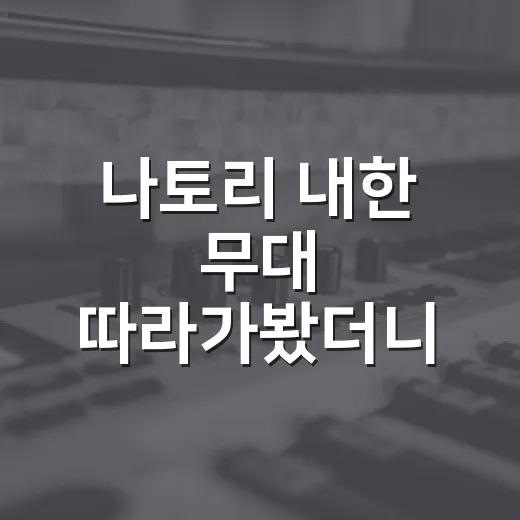 나토리 내한 무대 따라가봤더니, 90분이 한 편의 청춘 드라마 같았다 - 요약
