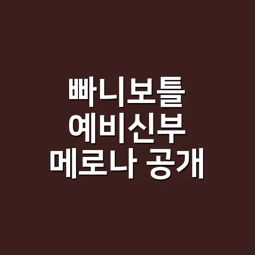 빠니보틀 예비신부 메로나 공개 영상 봤더니, 반응이 뜨거울 수밖에 없더라 - 요약
