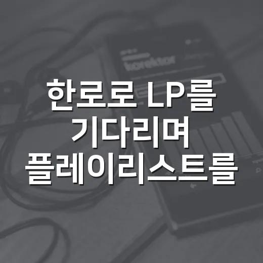 한로로 LP를 기다리며 플레이리스트를 다시 돌려봤더니 남는 장면들 - 요약