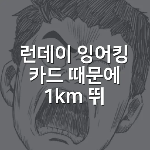 런데이 잉어킹 카드…