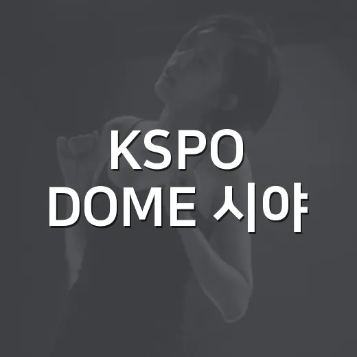 KSPO DOME 시야, 좌석표만 믿고 갔다가 현장에서 다시 보인 것들 - 요약