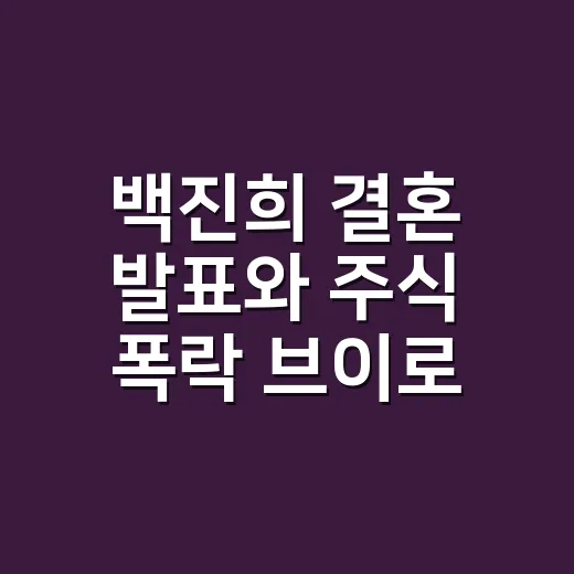 백진희 결혼 발표와 주식 폭락 브이로그를 같이 봤더니 보인 의외의 분위기 - 요약
