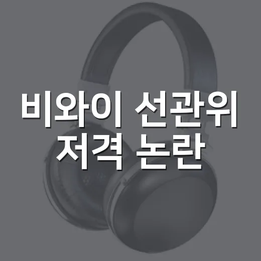 비와이 선관위 저격 논란, 쇼미 무대 한 줄이 이렇게 커질 줄이야 - 요약