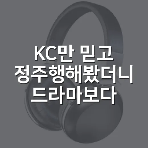KC만 믿고 정주행해봤더니 드라마보다 예능에서 더 오래 붙잡힌 후기 - 요약