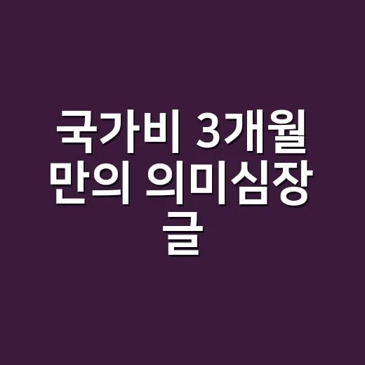 국가비 3개월 만의 의미심장 글, 읽고 나니 더 조심스러웠던 이유 - 요약
