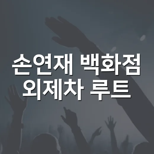 손연재 백화점 외제차 루트, 연예뉴스 한 장면처럼 따라가봤더니 - 요약