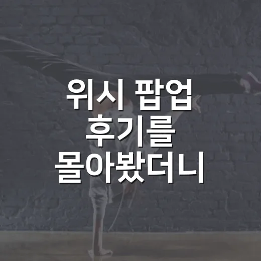 위시 팝업 후기를 몰아봤더니, 팬덤 예능 한 편 본 기분이었다 - 요약