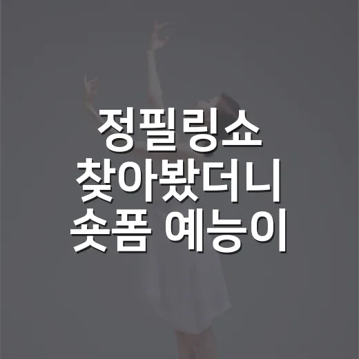 정필링쇼 찾아봤더니 숏폼 예능이 공연장으로 튀어나온 느낌이었다 - 요약